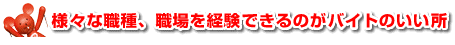 様々な職種、職場を経験できるのがバイトのいい所