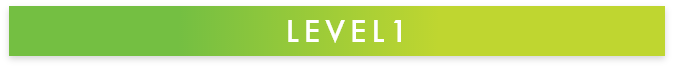 LEVEL1