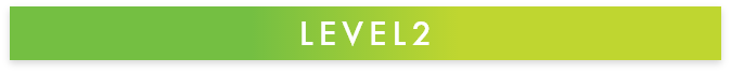 LEVEL2