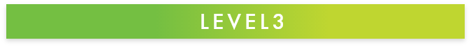 LEVEL3