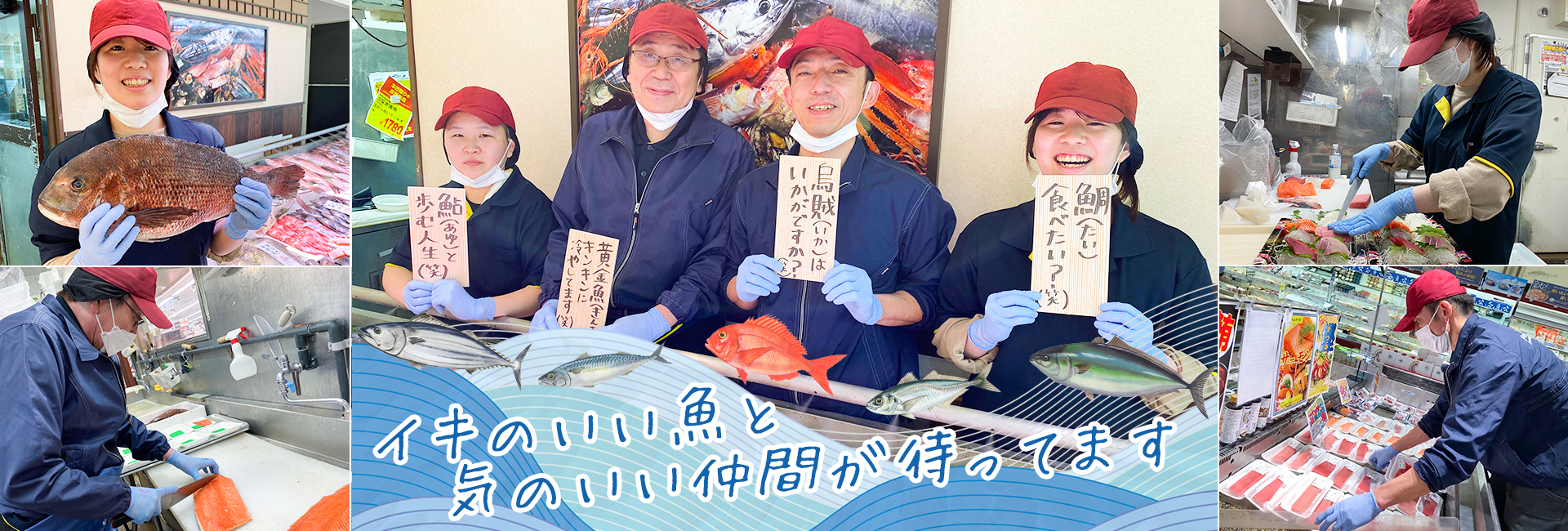 イキのいい魚と気のいい仲間が待ってます