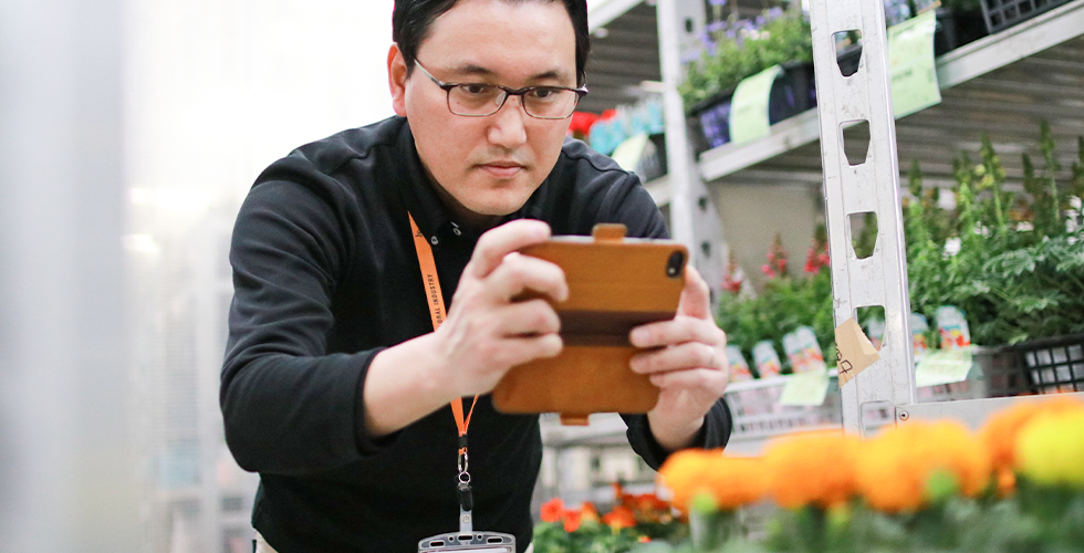 豊明花き株式会社 商品写真撮影の様子