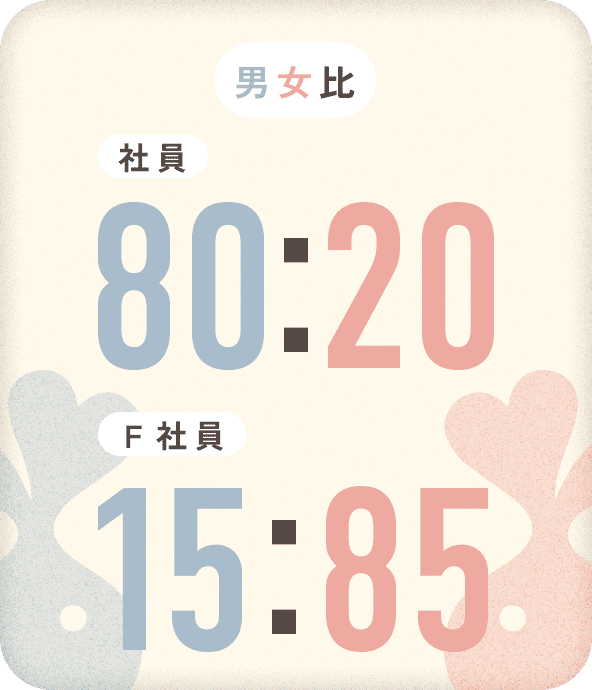 男女比 社員 80:20 F社員 15:85