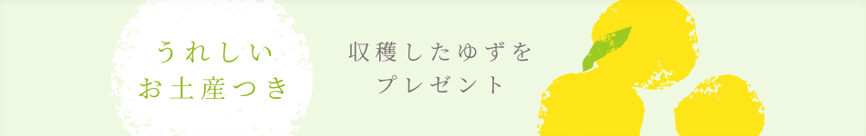 うれしいお土産つき 収穫したゆずをプレゼント