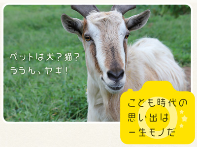 子育てシミュレーション体験