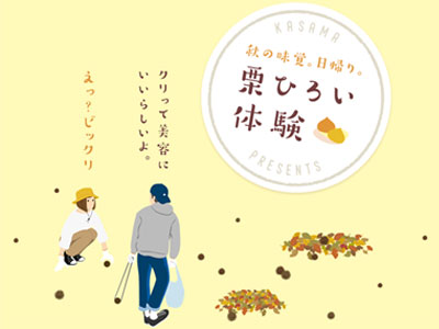 秋の味覚。日帰り。栗ひろい体験