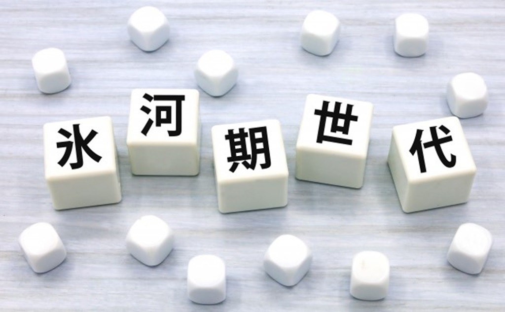 氷河期世代と書かれた白のサイコロブロック