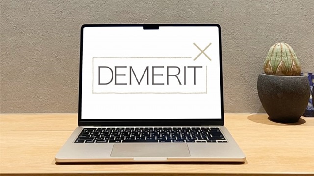 PCが映し出すDEMERITの文字