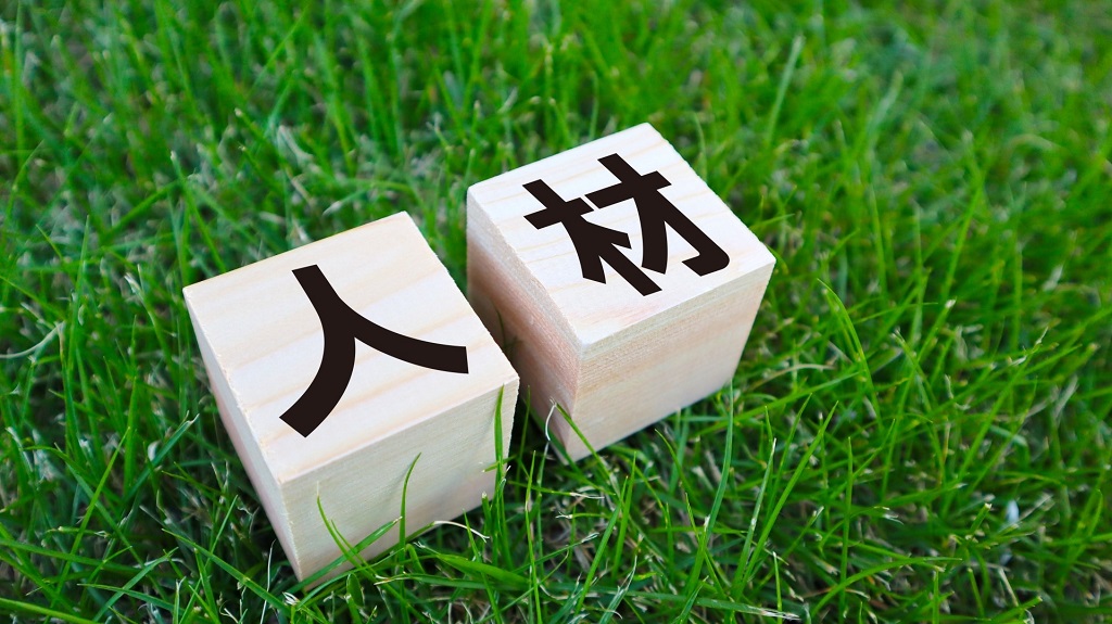 転がる“人材”を積み木と芝生で表現