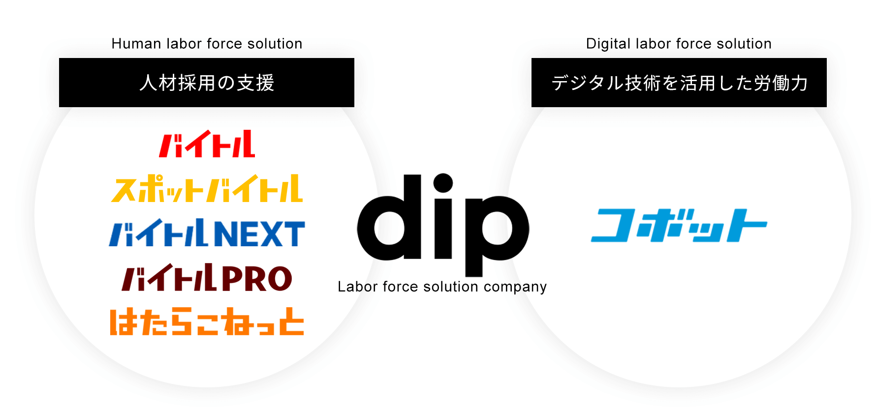 dipの強み