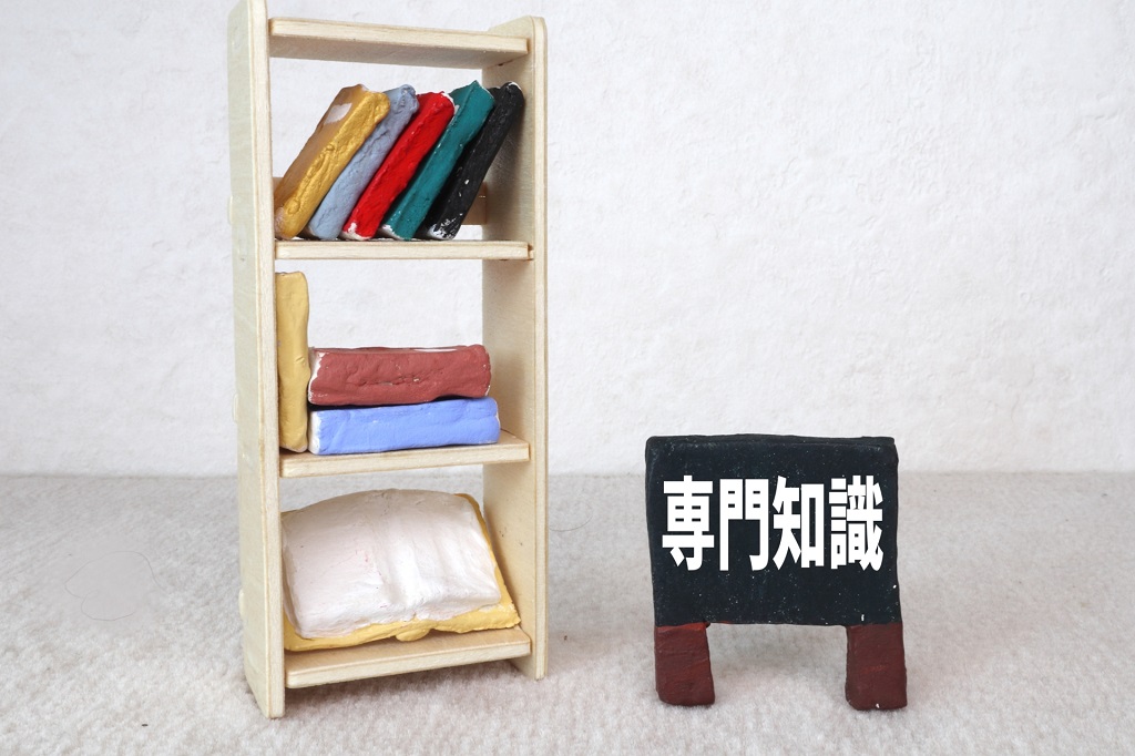 専門知識と書かれた粘土画像