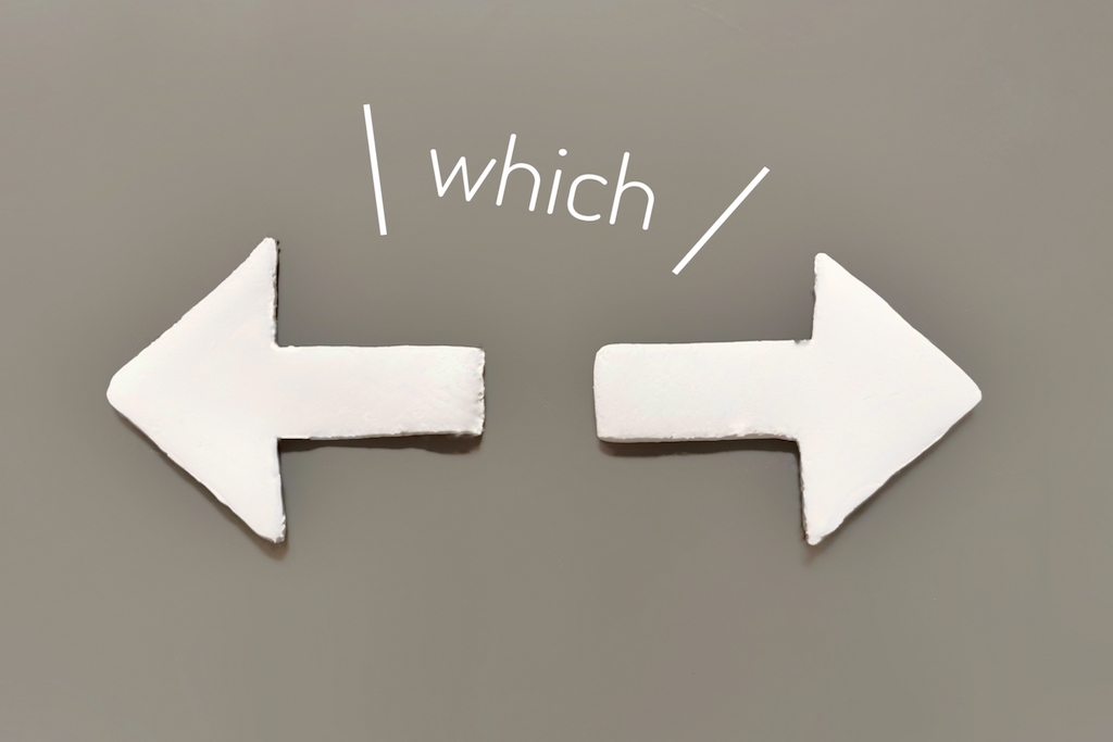 違いを示唆するwhichの文字と矢印