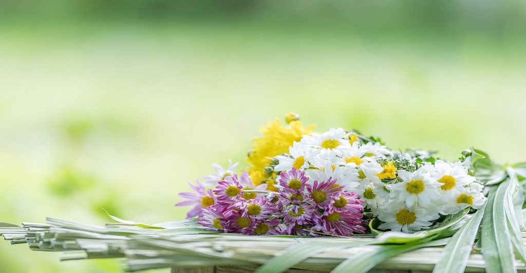 お盆を象徴する花