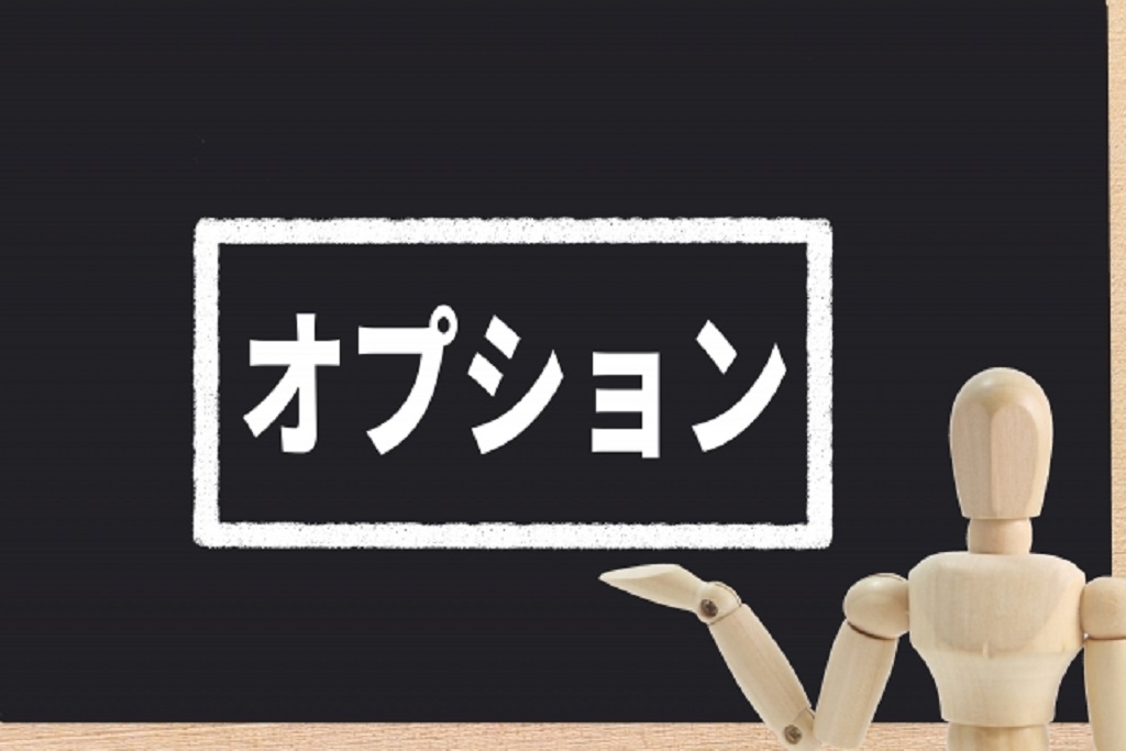 有料オプションとは