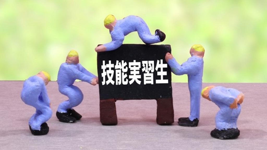 年度で表現された技能実習生